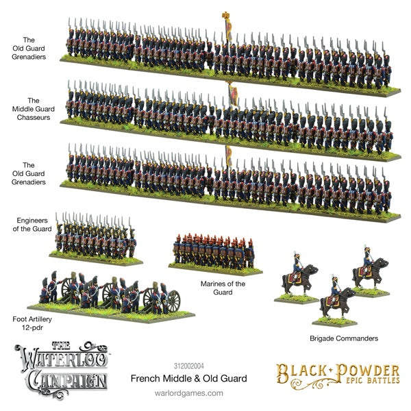 Black Powder, Waterloo, painted miniatures, rear view, Old and Middle Guard