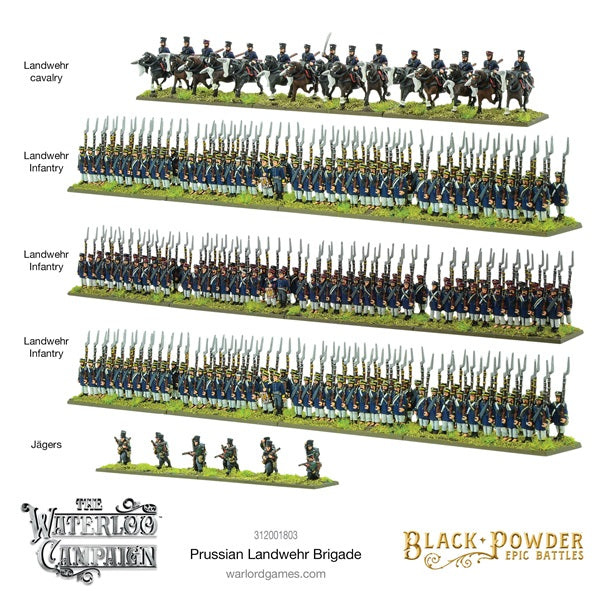 Black Powder, Waterloo, painted, Landwehr Brigade